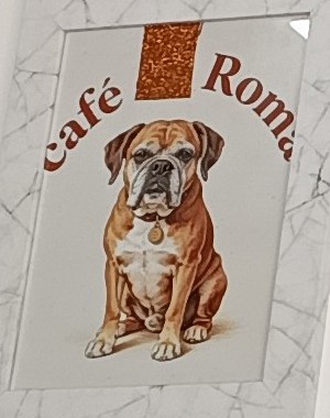 Ilustración de mi bóxer sentado bajo el nombre del café